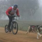 Sled Dog Racing